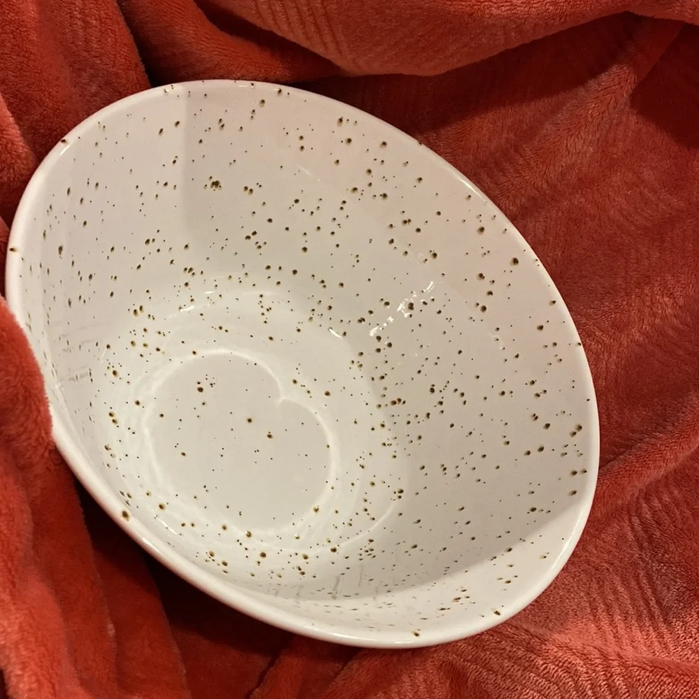 Retired Crate&Barrel Speckled Glazed Serving Bowl